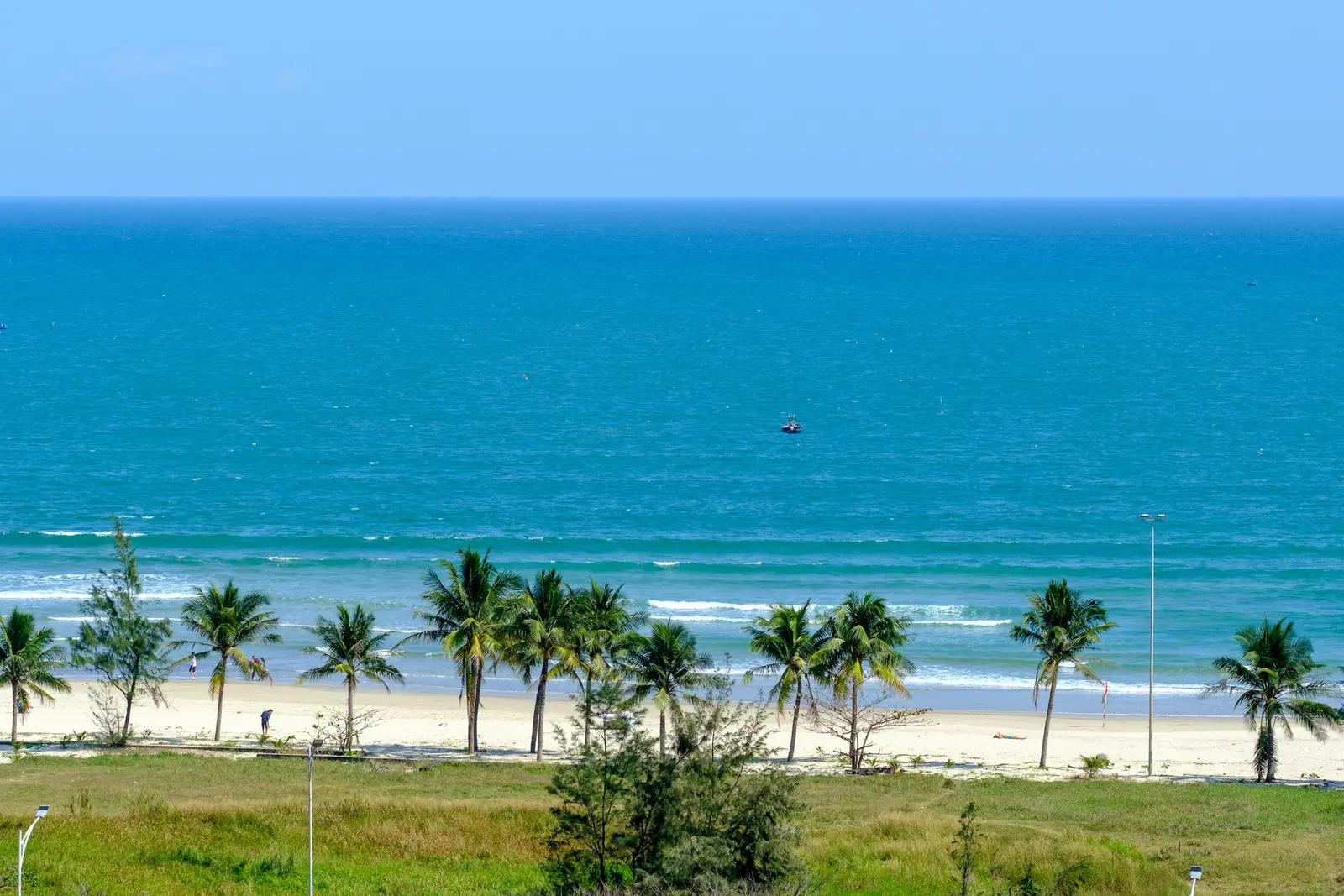 Palm trees beside a sandy beach and calm sea in Da Nang.