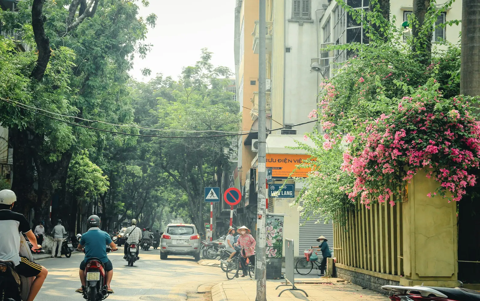 Motorbikes and pedestrians on a tree-lined street in Hanoi, Vietnam.