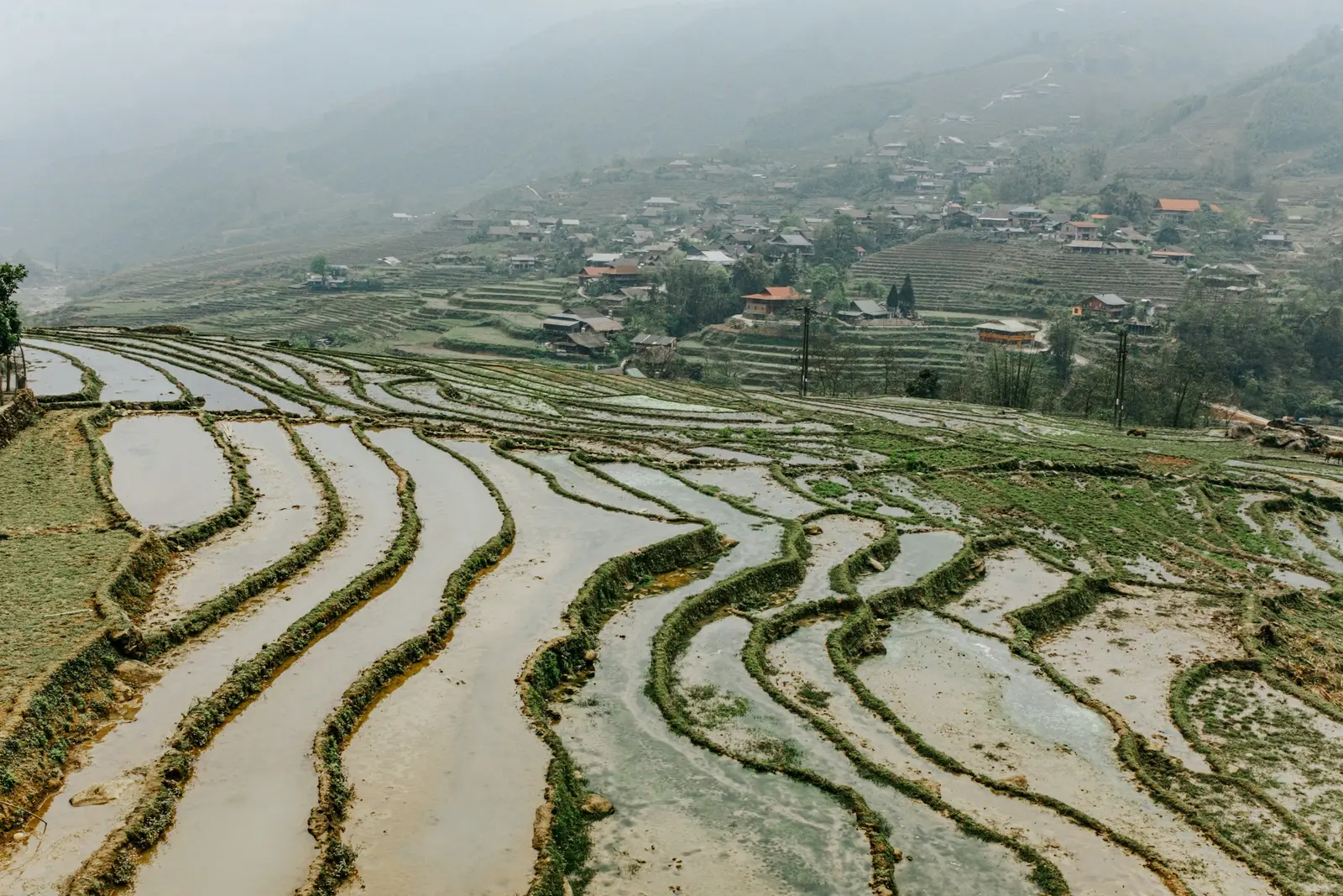 Water-filled rice terraces below a misty mountain village near Sa Pa.